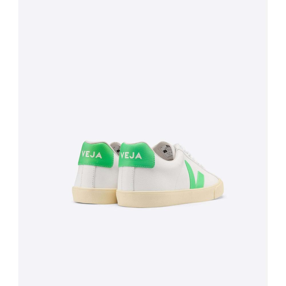 Veja ESPLAR CHROMEFREE BUTTER-SOLE Sneakers Heren Wit | NL 301BEX